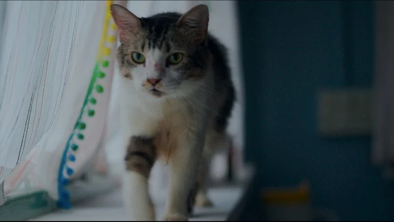 Max, Min and Meowzaki - A Comedy-Drama That Plays Like a Soft Hug, Not a Punchline