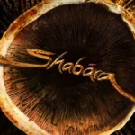 Shabara (2026): Dheekshith Shetty Digs Into A Dual-Era Treasure Hunt That The Evidence Can’t Yet Cash